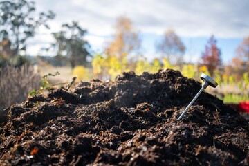 farmer collecting soil samples in a test tube in a field. Agronomist checking soil carbon and plant health on a farm