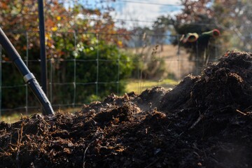 measuring the temperature of a Compost pile, organic thermophilic compost turning in Tasmania Australia on a farm