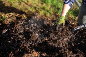measuring the temperature of a Compost pile, organic thermophilic compost turning in Tasmania Australia on a farm