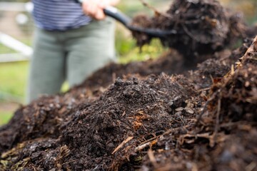 farmer collecting soil samples in a test tube in a field. Agronomist checking soil carbon and plant health on a farm