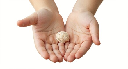 A pair of cupped hands gently holds a small, delicately textured seashell against a white backdrop.