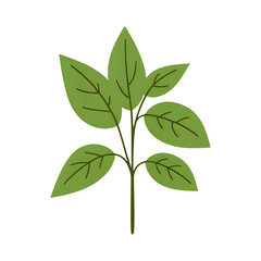 Naklejka premium Botanical Plant Foliage Decorative Element