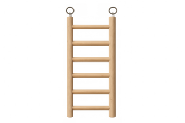 Wooden gymnasium stall bars with suspended metal rings, supporting strength training and physical development against transparent backdrop