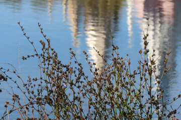 A light building with spires is reflected in the water