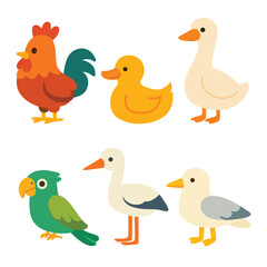 Set of cartoon birds including rooster, duck, goose, parrot, stork, and seagull. Flat colorful illustration on white background. Bird species and avian animals concept. Design for sticker, card