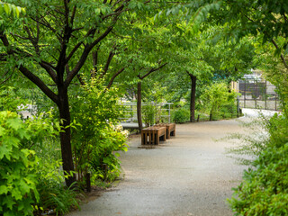 雨に濡れた遊歩道の風景