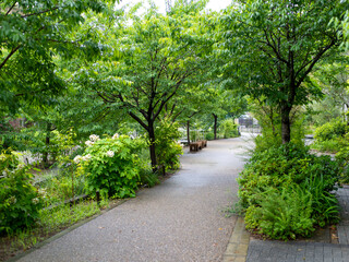 雨に濡れた遊歩道の風景