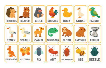 Set of educational animal flashcards with labeled cartoon illustrations including hedgehog, rooster, duck, camel, butterfly, ant, and more. Flat learning materials for children with wild, exotic, farm