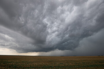 Severe Storm