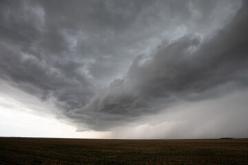 Severe Storm