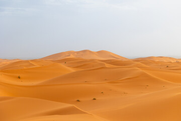 Sunset panoramic landscape views of Erg Chebbi sand dunes located in Morocco on the western edge of the Sahara Desert