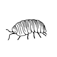 Roly poly bug outline