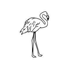 tropical flamingo line art