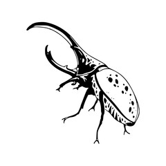 rhinoceros beetle detailed outline