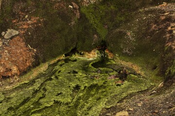 La Siberia, an abandoned town in Colombia’s Andes. Crumbling walls, empty streets, and overgrown...