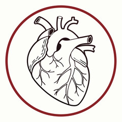 Make a minimalist version of a image of an anatomically correct heart on a 40mm circle with minimal details



