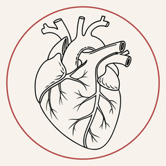Make a minimalist version of a image of an anatomically correct heart on a 40mm circle with minimal details



