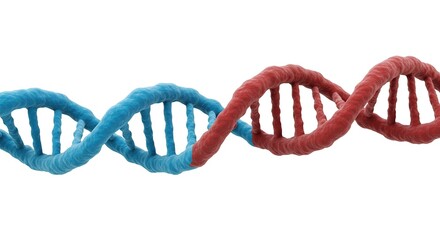 3D DNA Double Helix Strand Isolated on White Background Biomedical Genetic Structure Concept