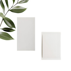 Flyer / Postcard Mockup on white background