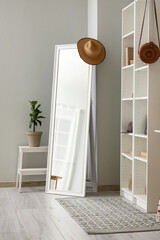 Interior of living room with shelving unit, mirror and houseplant near grey wall