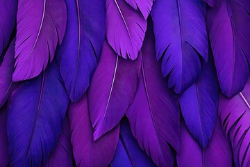 Close-up vibrant purple and violet feathers