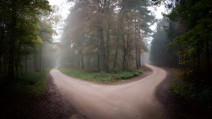Obraz premium A forked road through autumn woods, misty and serene, symbolizing life's crossroads