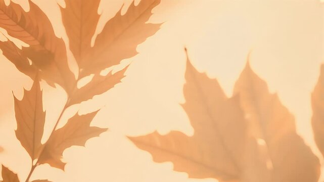 Enjoy natural beauty moving leaves cast shadow sunlight coming throughwindow animation createscaptivating overlay shadows onpastel orange background enhancing appeal serene indoor scenes depth of