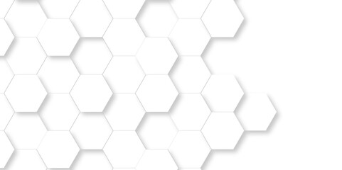 Fototapeta premium Abstract minimal white lines Hexagonal structure futuristic white background and Embossed Hexagon , honeycomb white mosaic cell web ,light and shadow texture design.