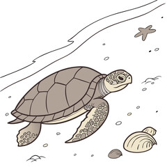 Fototapeta premium gentle tortoise sandy transparent 