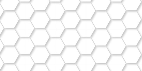 Abstract minimal white lines Hexagonal structure futuristic white background and Embossed Hexagon , honeycomb white mosaic cell web ,light and shadow texture design.	