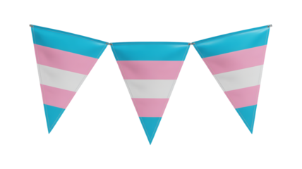 Celebrate LGBTQ+ Pride Transgender Flag Bunting Decoration - Vibrant Colors, Festive Design