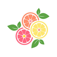 Colorful Citrus Fruit Slices Vector – Orange, Lemon, and Grapefruit with Leaves
