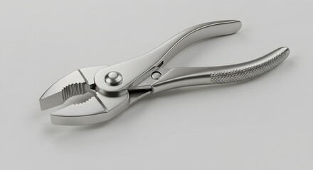 Professional Silver Slip Joint Pliers - 3D Render © ekam