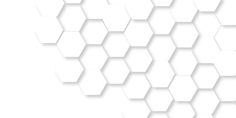 Vector abstract white lines Hexagonal structure futuristic white background and Embossed Hexagon , honeycomb white mosaic cell web ,light and shadow texture design.	
