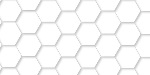 Abstract minimal Background with white lines Hexagonal structure futuristic white background and Embossed Hexagon , honeycomb white mosaic cell web ,light and shadow texture design.	
