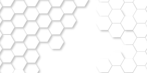 Abstract minimal white lines Hexagonal structure futuristic white background and Embossed Hexagon , honeycomb white mosaic cell web ,light and shadow texture design.	
