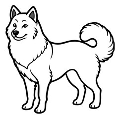 Canadian Eskimo Dog Vector on White