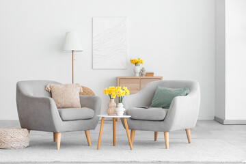 Interior of stylish living room with grey armchairs and beautiful narcissus flowers on coffee table