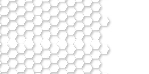 Abstract minimal white lines Hexagonal structure futuristic white background and Embossed Hexagon design , honeycomb white mosaic cell web ,light and shadow texture design.	