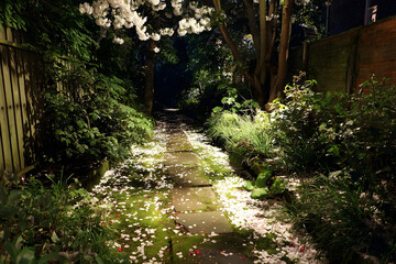 Fototapeta premium Illuminated garden path strewn with petals at night.