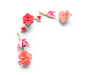 Beautiful pink edible flowers on white background