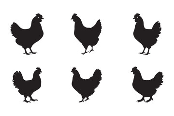 set of chicken silhouette icon vector illustration, rooster hen icon set vector on white background