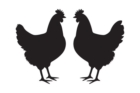 chicken silhouette icon vector illustration, rooster hen icon vector isolared on white background