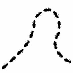 Vector illustration of a termite colony walking in a neat line. On a white background.