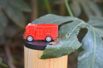 toy car on the grass