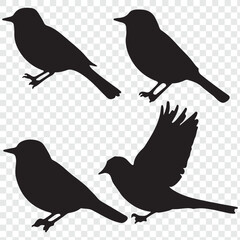 Set of bird Silhouette in various poses isolated on transparent background. eps 10