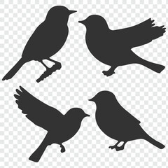 Set of bird Silhouette in various poses isolated on transparent background. eps 10