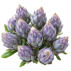 Obraz premium Isolated transparent A vibrant cluster of artichokes with purple hues and fresh green leaves. PNG die-cut element for advertising