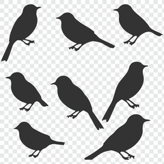 set of birds silhouettes on transparent background. eps 10
