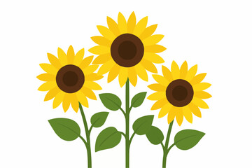 Obraz premium Illustration of three sunflowers with green stems and leaves against a white background design style